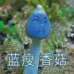蓝瘦香菇？深圳公司注册抢名字